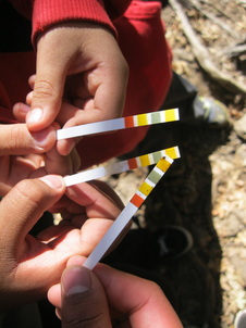 Students using pH strips